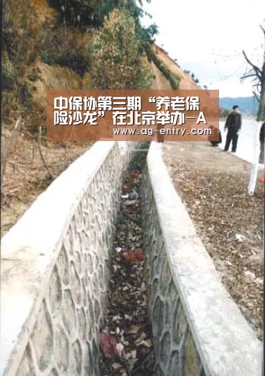 中保协第三期“养老保险沙龙”在北京举办-AG体育(图1)
