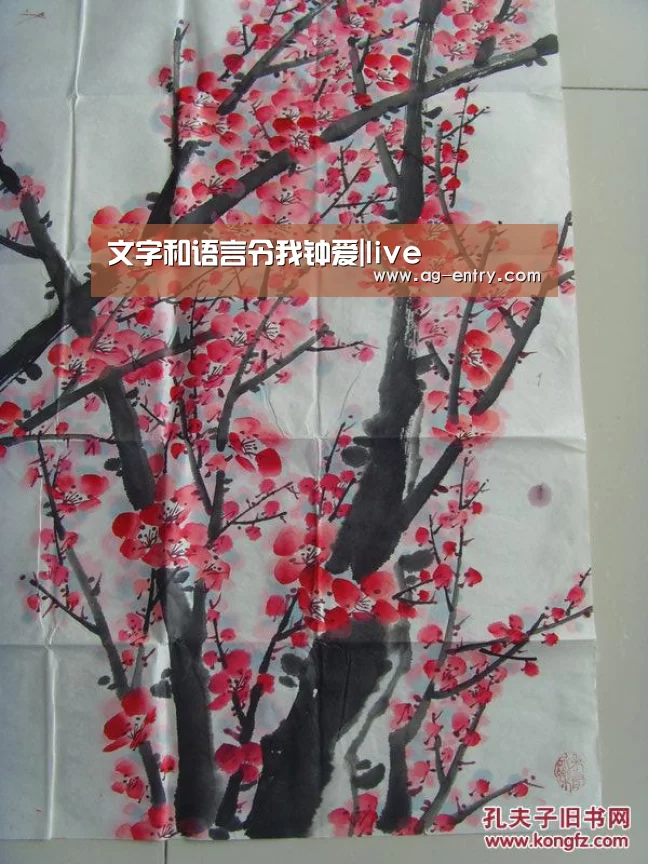 AG体育